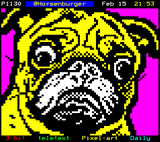 Bruce the Pug by Horsenburger